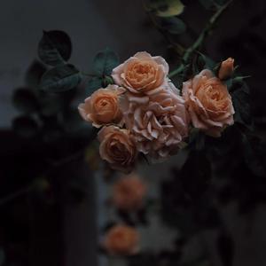 色欲TV国产亜洲AV麻至ABA
